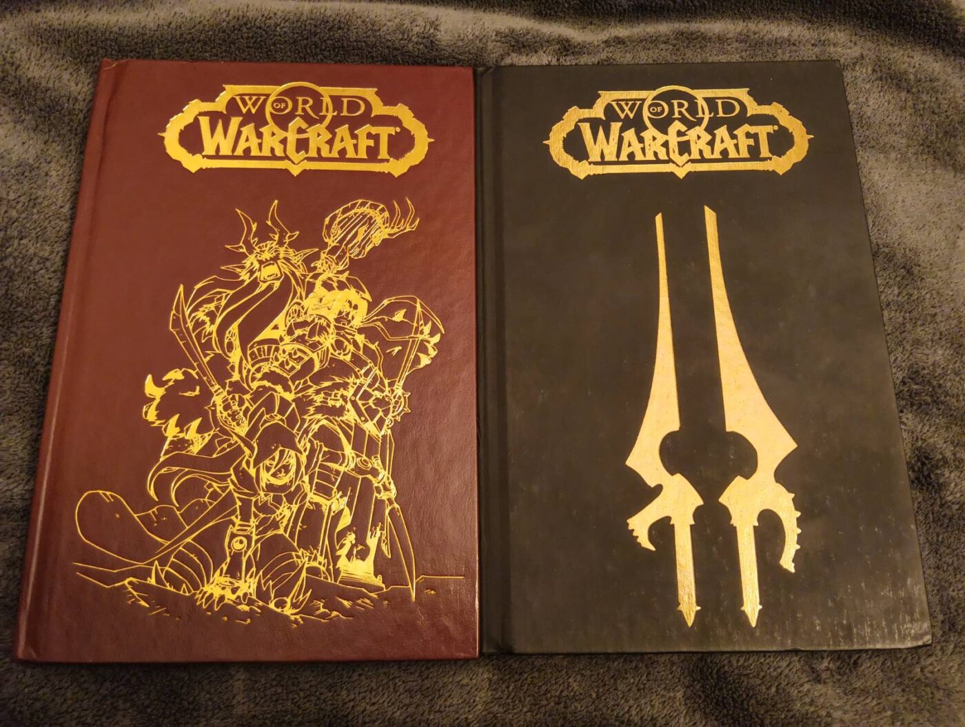 Zdjęcie przedstawiające twarde okładki World of Warcraft: The Comic bez obwolut. Po lewej tom 1, po prawej tom 2